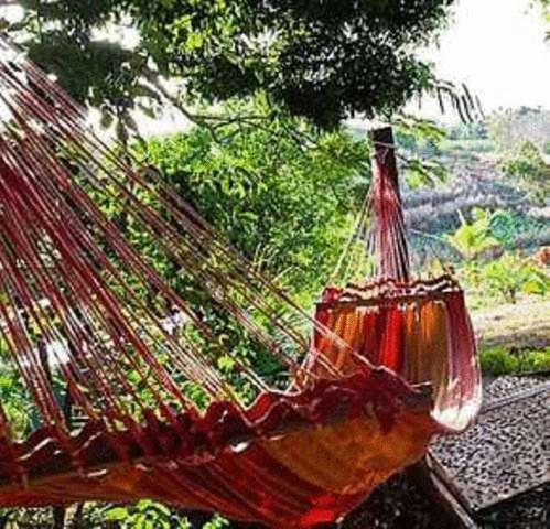 Palmlea Farms Lodge & Bures - Villas Labasa Kültér fotó