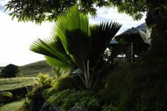 Palmlea Farms Lodge & Bures - Villas Labasa Kültér fotó