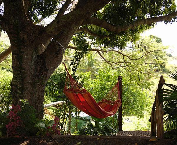 Palmlea Farms Lodge & Bures - Villas Labasa Kültér fotó