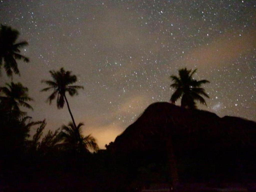 Palmlea Farms Lodge & Bures - Villas Labasa Kültér fotó