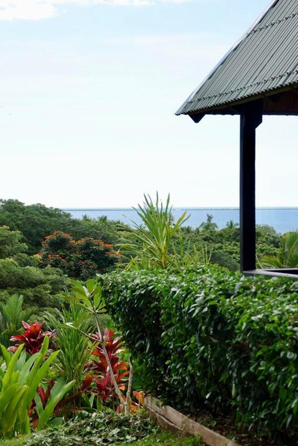 Palmlea Farms Lodge & Bures - Villas Labasa Kültér fotó