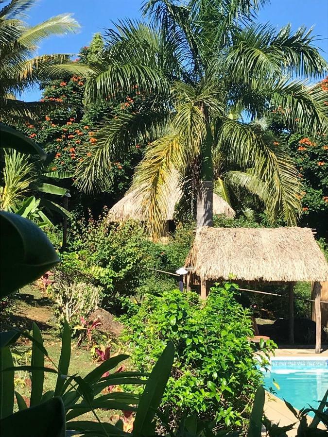 Palmlea Farms Lodge & Bures - Villas Labasa Kültér fotó